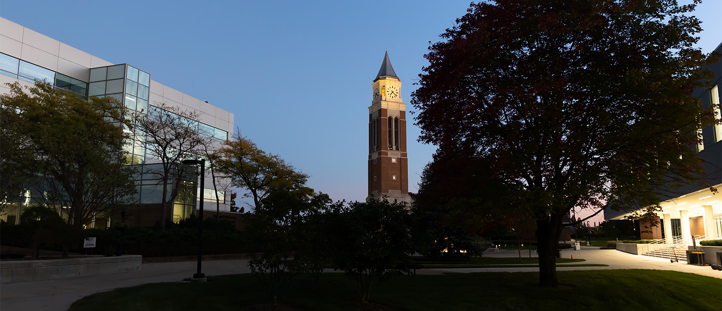 Image of the tower at night. 