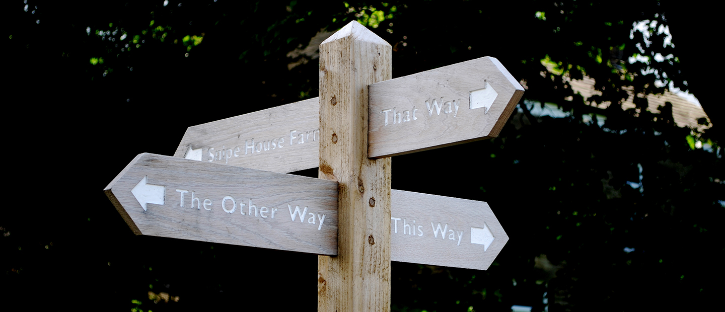 crossroads sign with "that way", "the other way" and "this way" texts