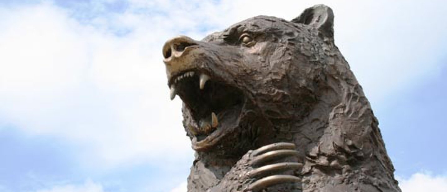 image of a large bear statue's head outside