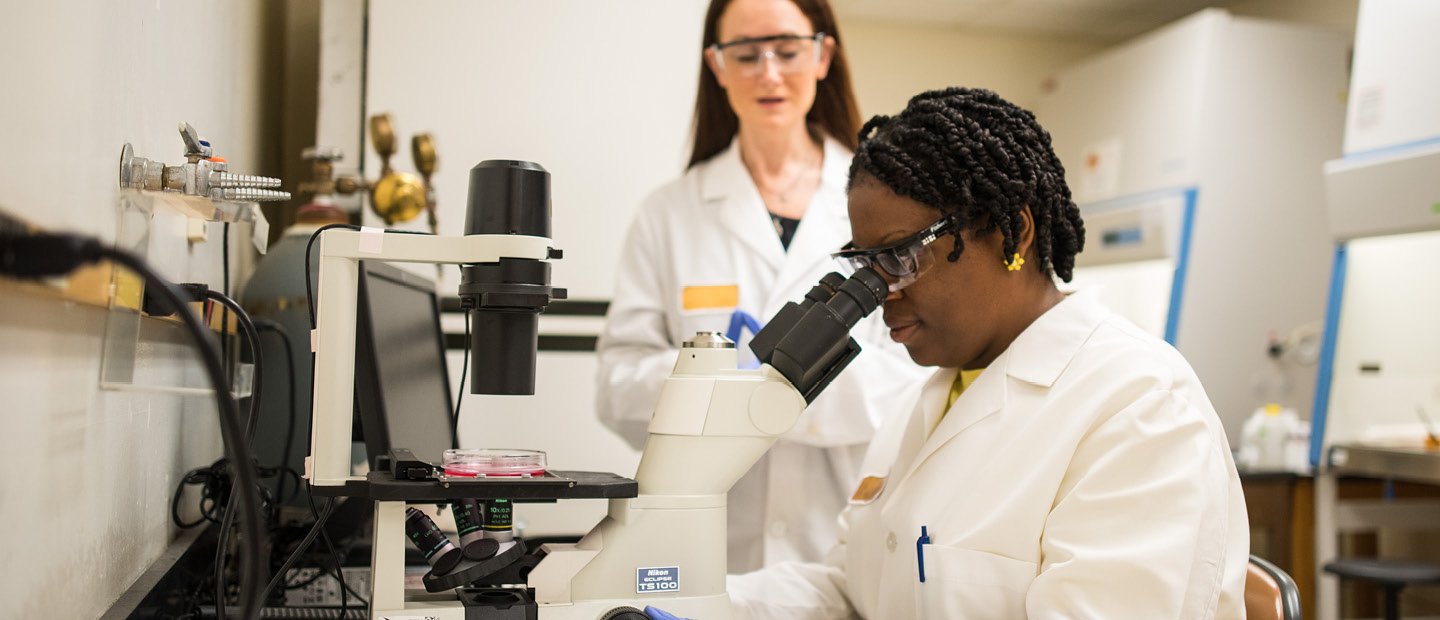 two students in white lab coats using microscopes and other lab equipment