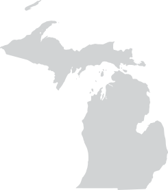 Icon of the state of Michigan