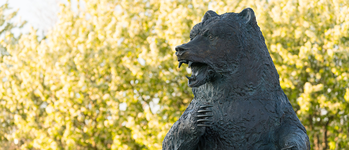 A photo of the Grizzly statue on campus.