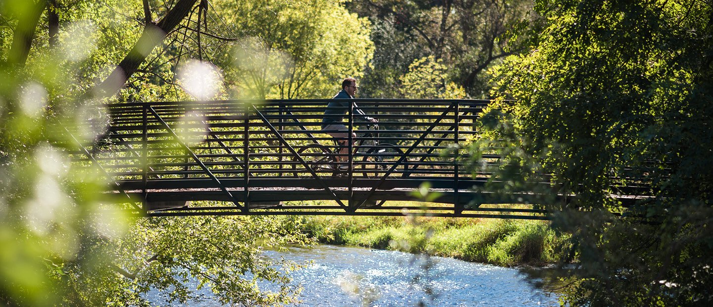 man riding a bicycle on a bridge over water in the woods