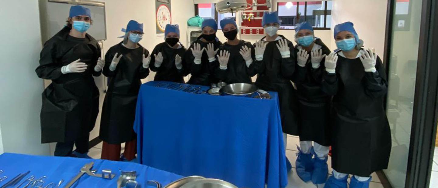 A group of medical professionals in black gowns, face masks and white gloves.