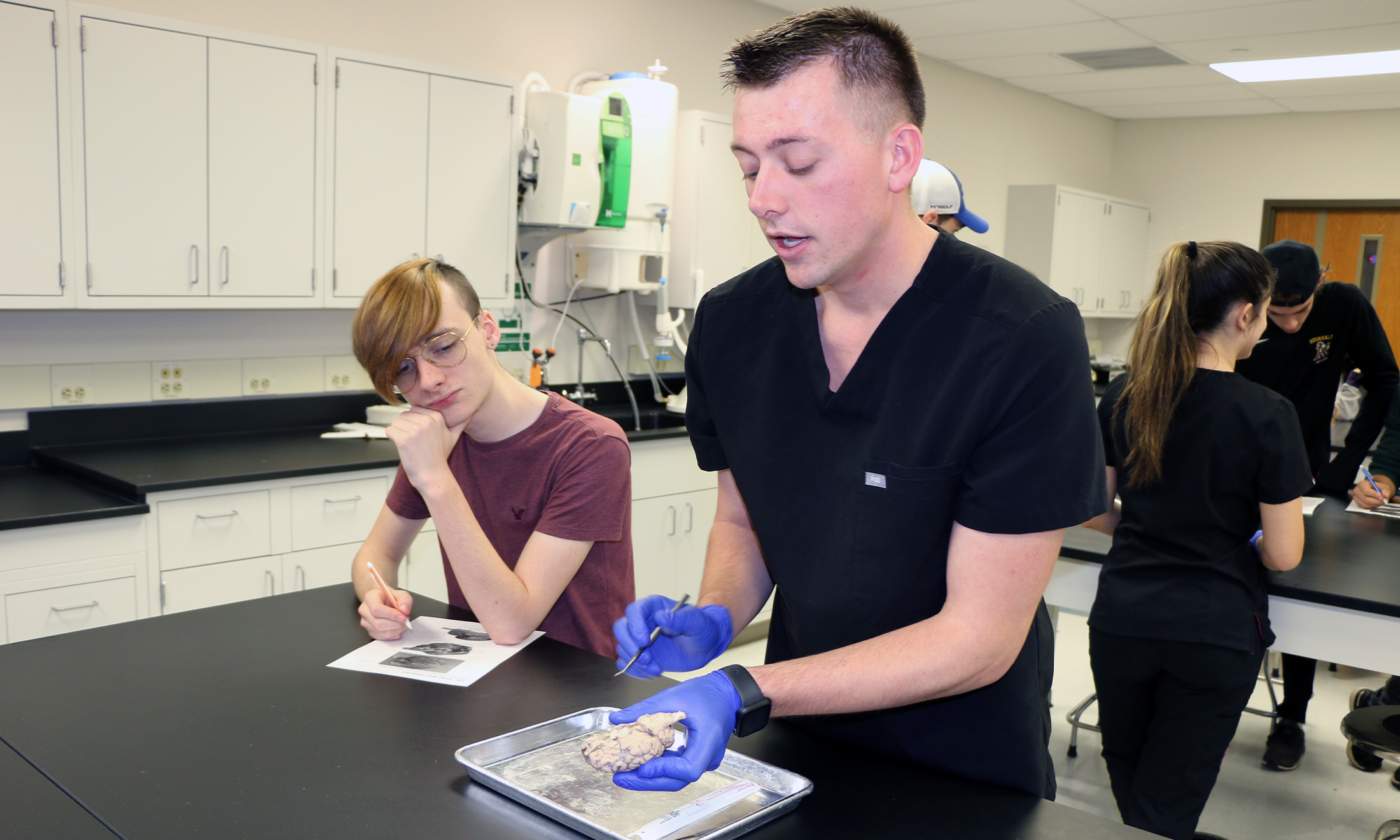 An image of OUWB students showing high schoolers about sheep brains