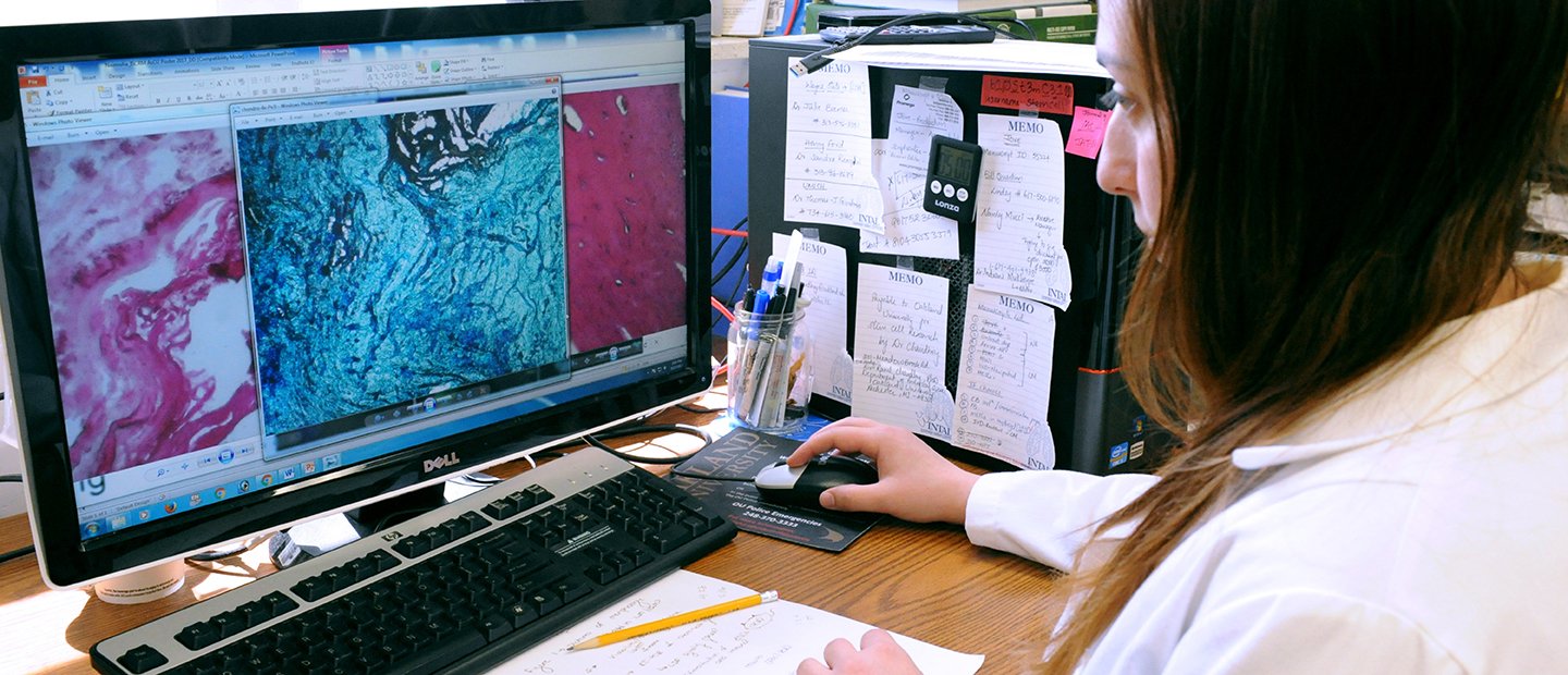 A woman seated at a desk, looking at magnified biological samples on a computer screen.