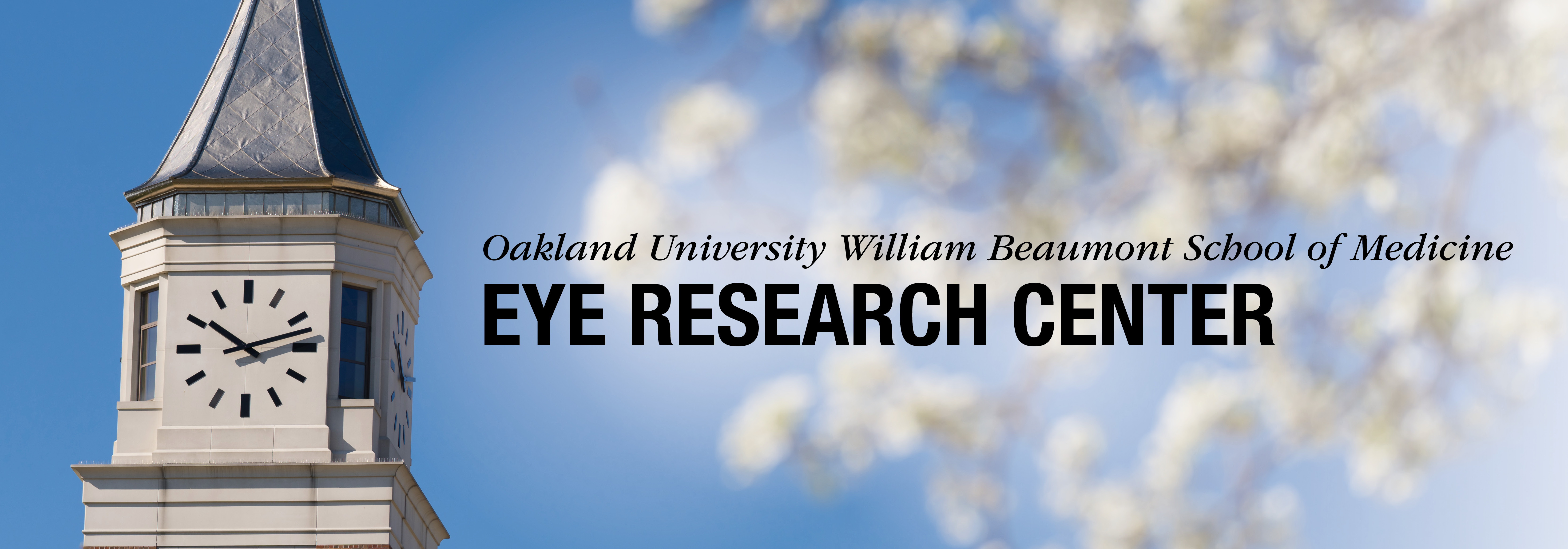 Eye Research Center Main Image