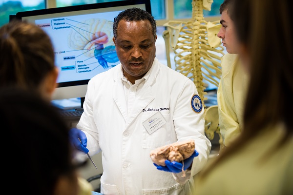 A faculty members hosts an anatomy session for students.