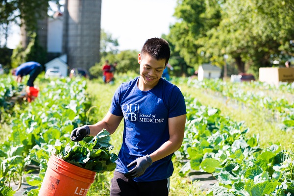 A student works in the field picking greens as part of the annual First Day of Service