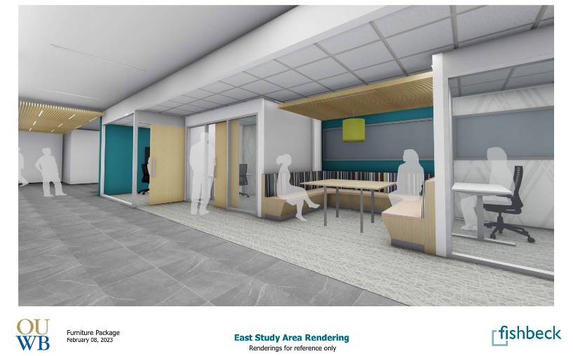 An image of the east study area rendering