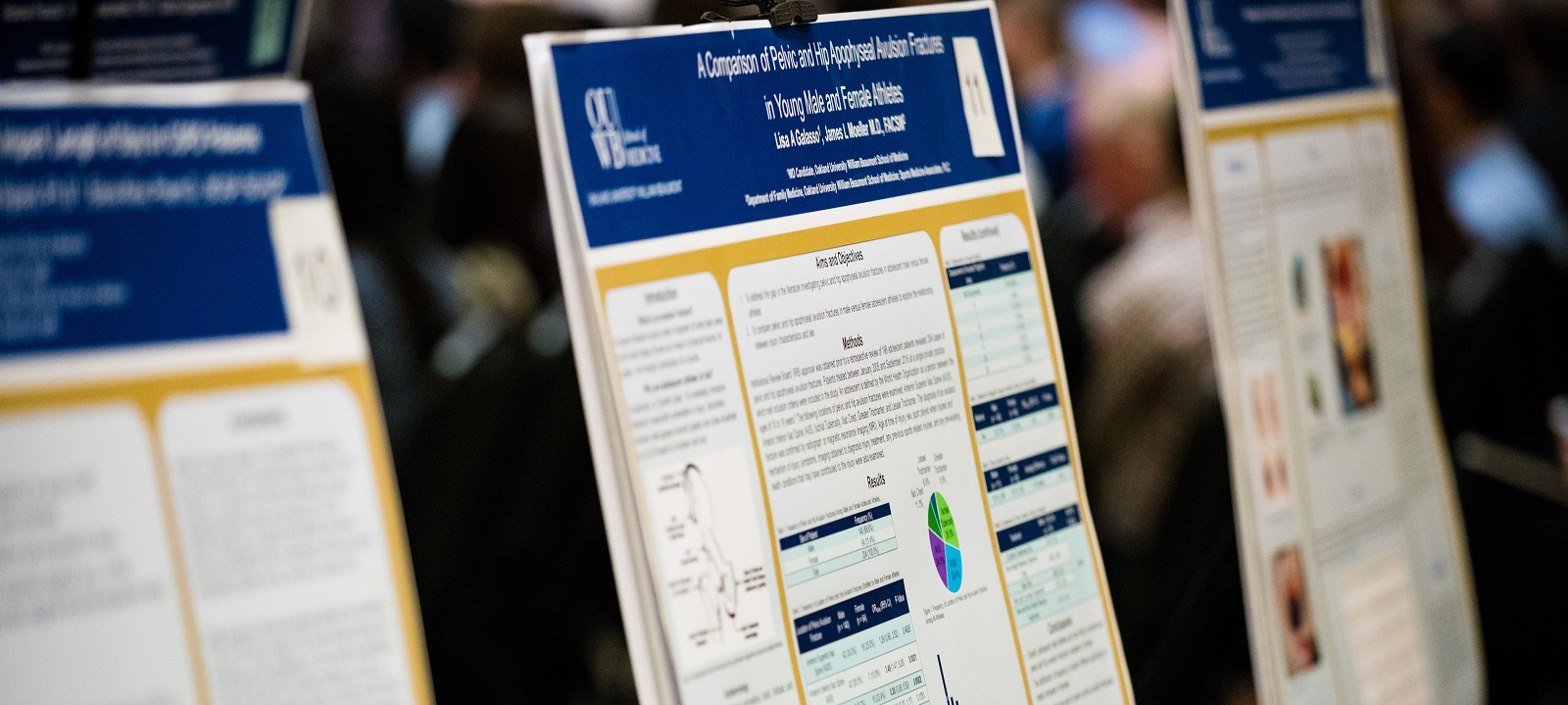 A shot of a row of three research posters on easels from an angle.