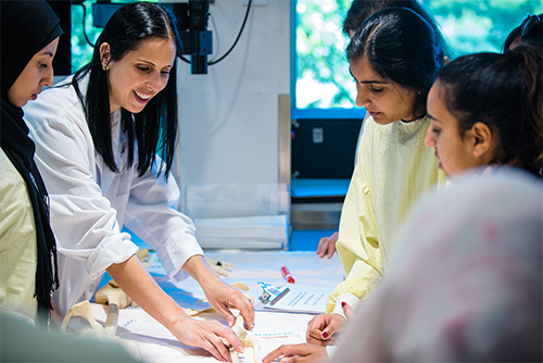 An image of Stefanie Attardi in OUWB's Anatomy Lab