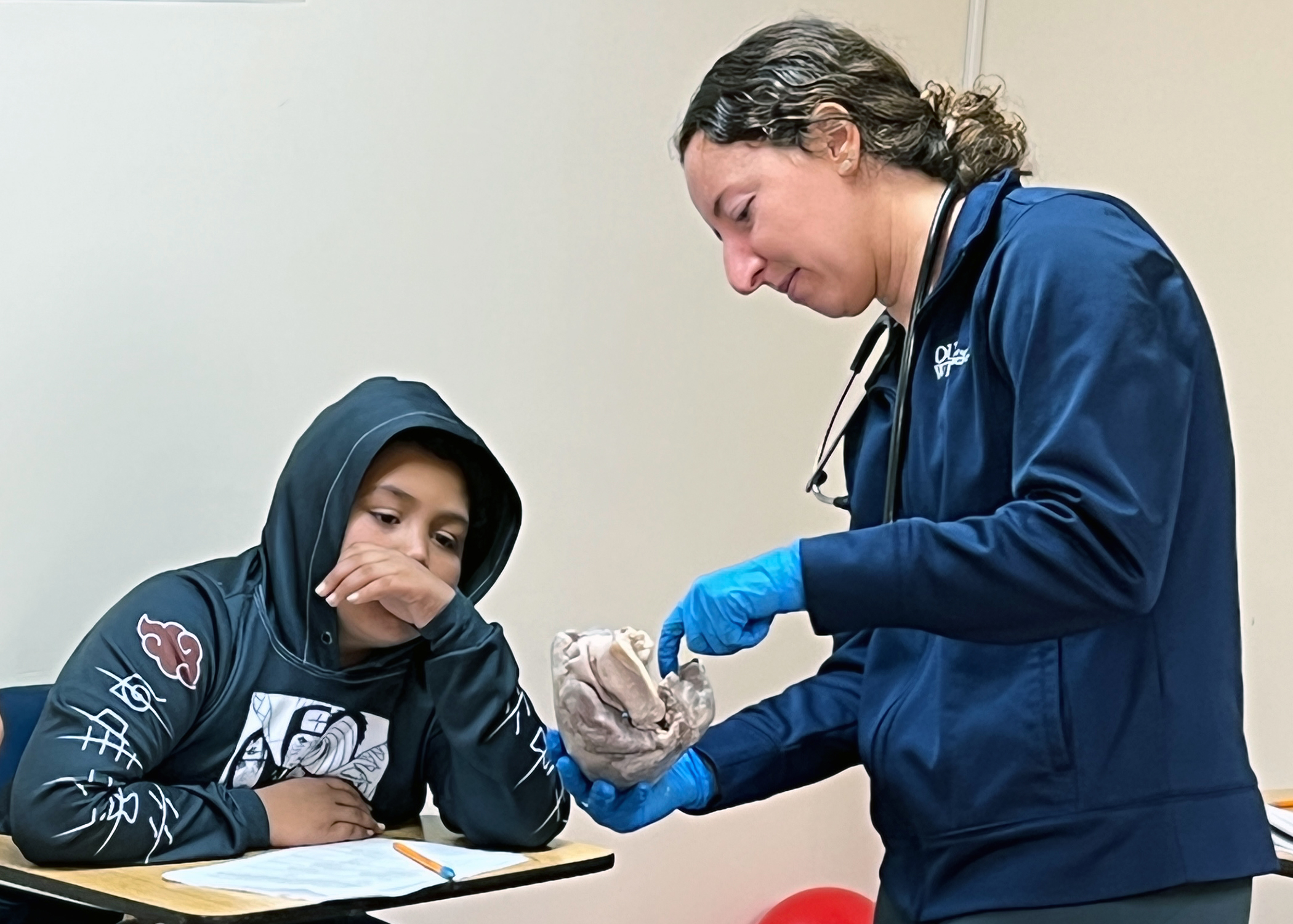 An image of an OUWB student giving an anatomy lesson