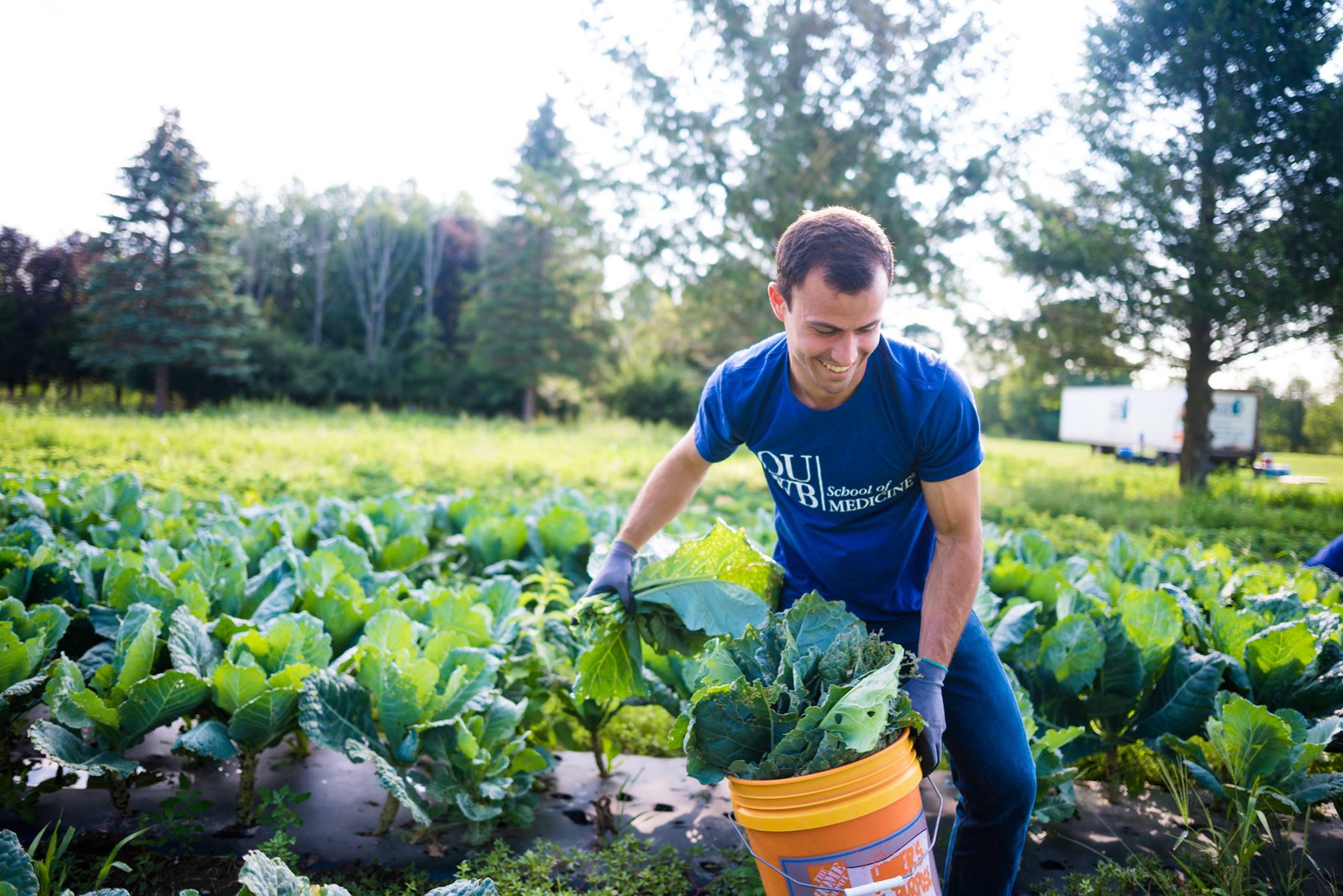 An OUWB student volunteering at Forgotten Harvest farms. He carries a bucket of greens through a field.