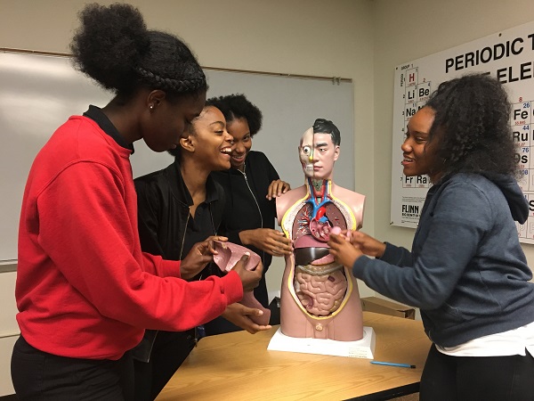 BFMS students play with a model of the human head/torso.