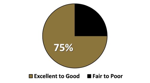 Satisfaction pie chart