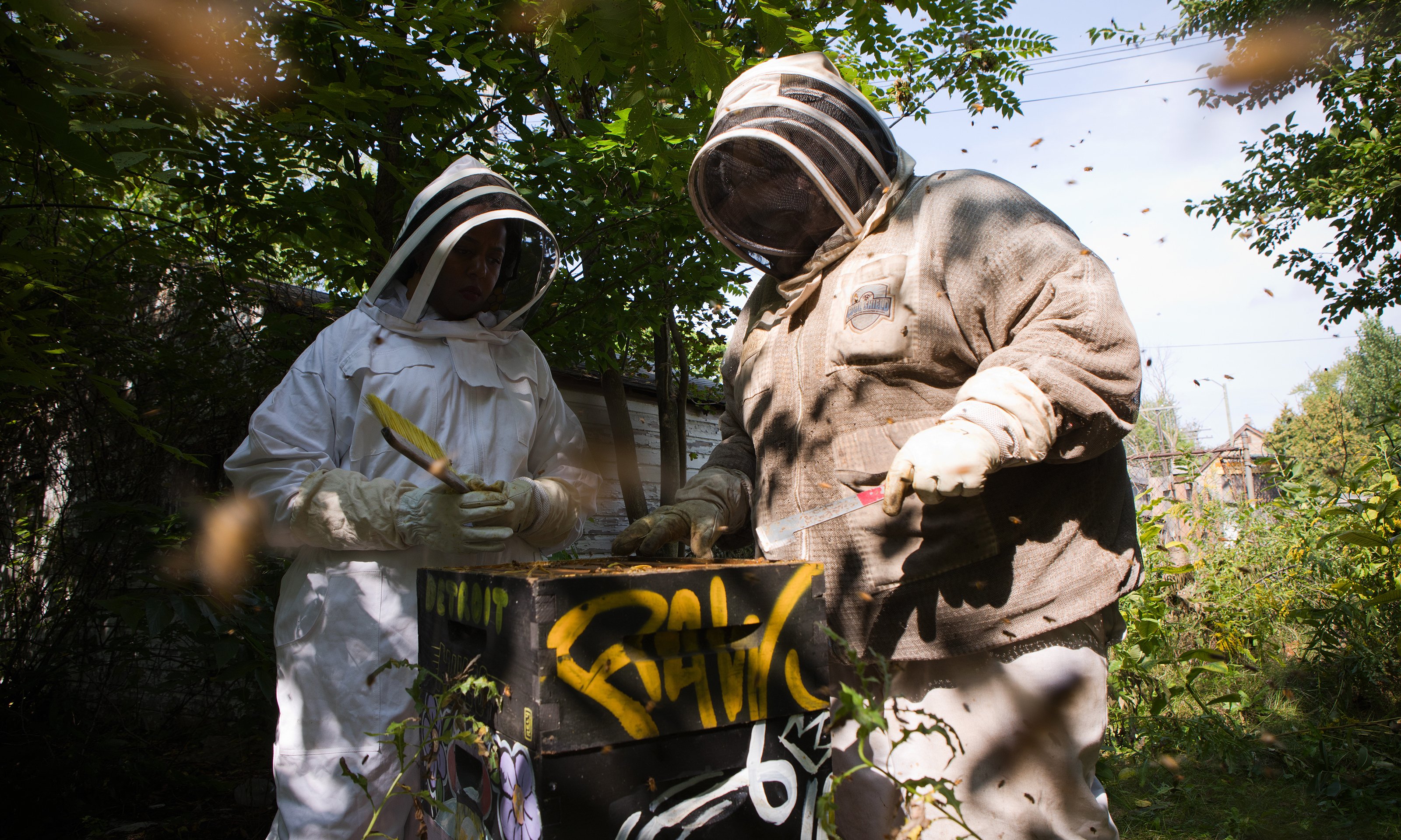 Two people working on a beehive
