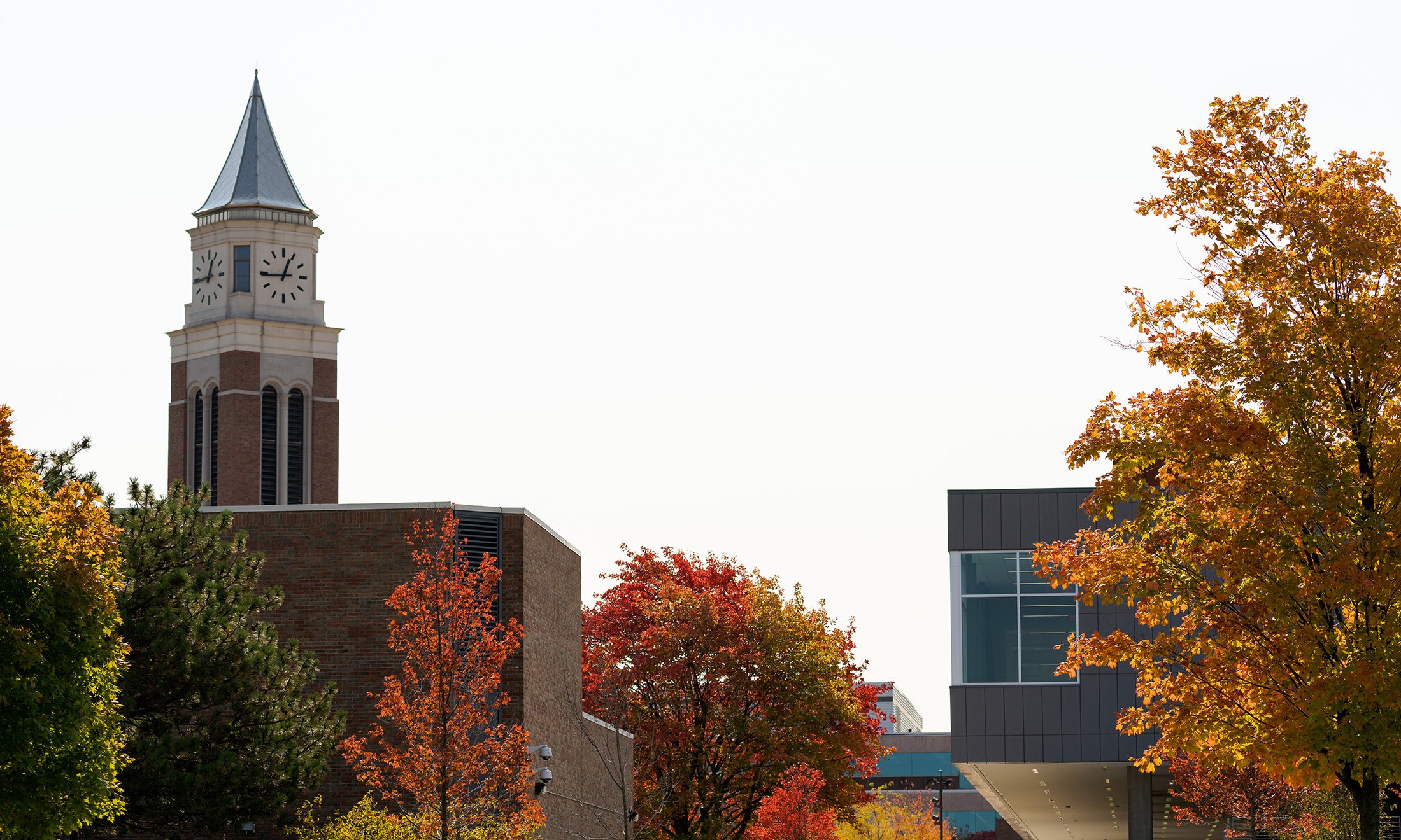 Campus buildings and fall leaves