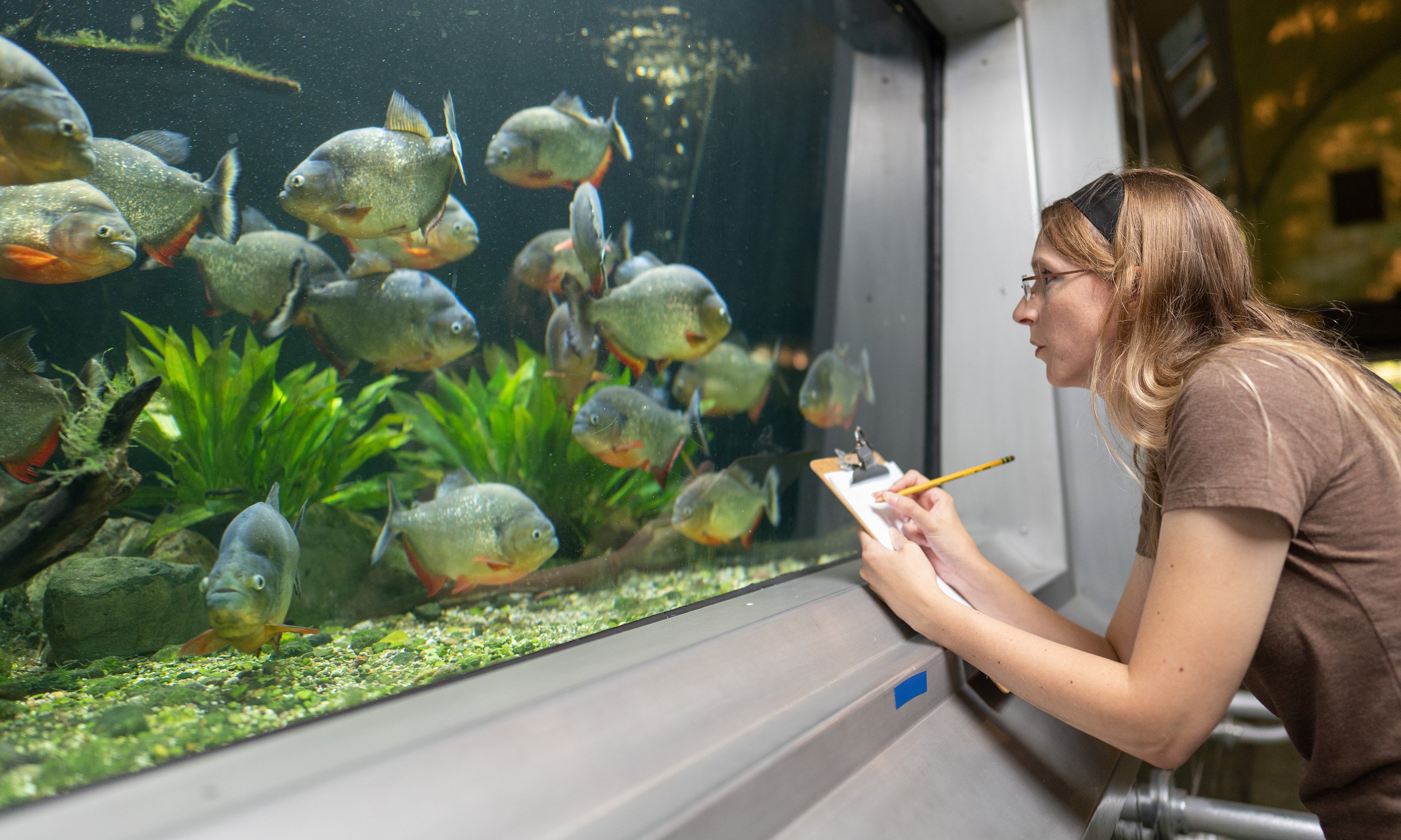 Woman looking at fish tank