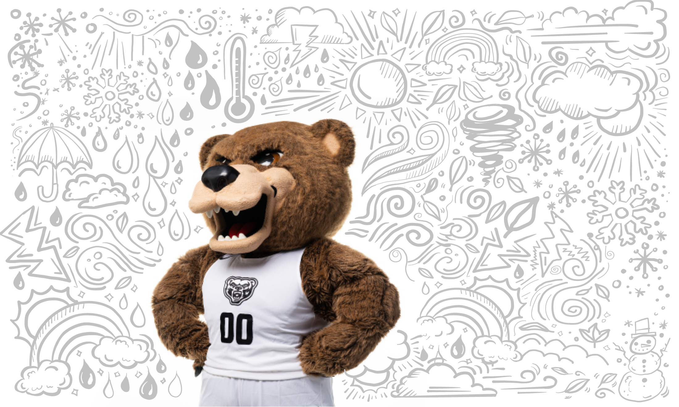 Grizz bear standing in front of illustration of weather graphics