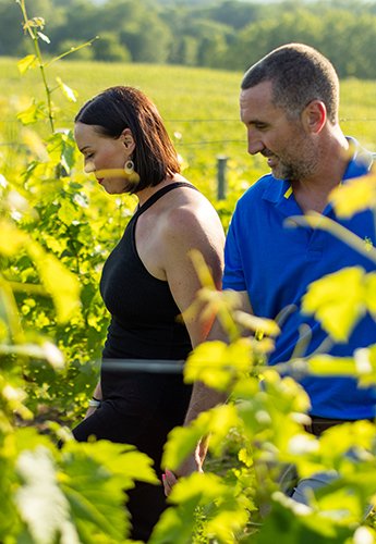 Two people in a vineyard