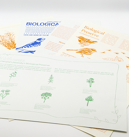 Sustainable design projects