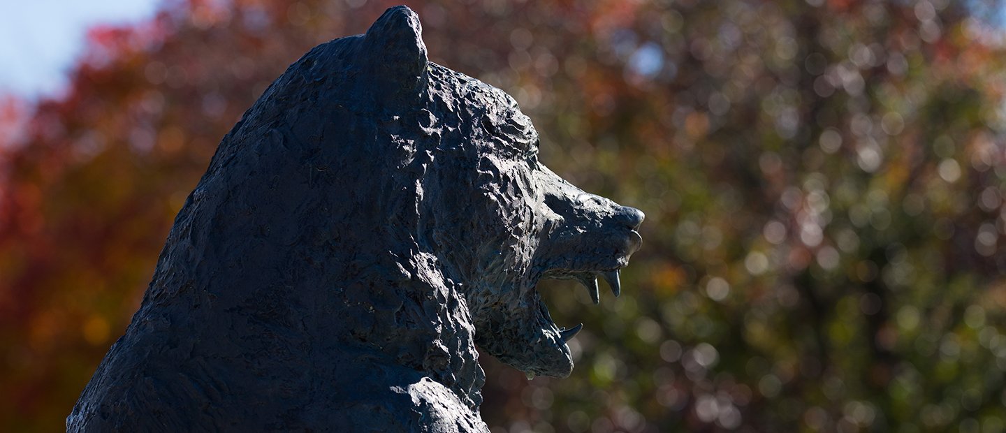 A statue of a bear outdoors.