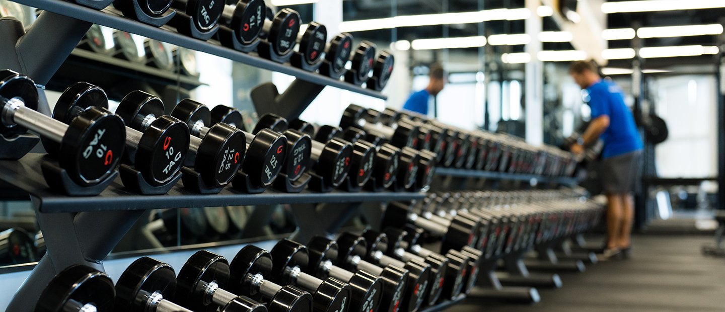 A long rack with varying sized dumbbells.