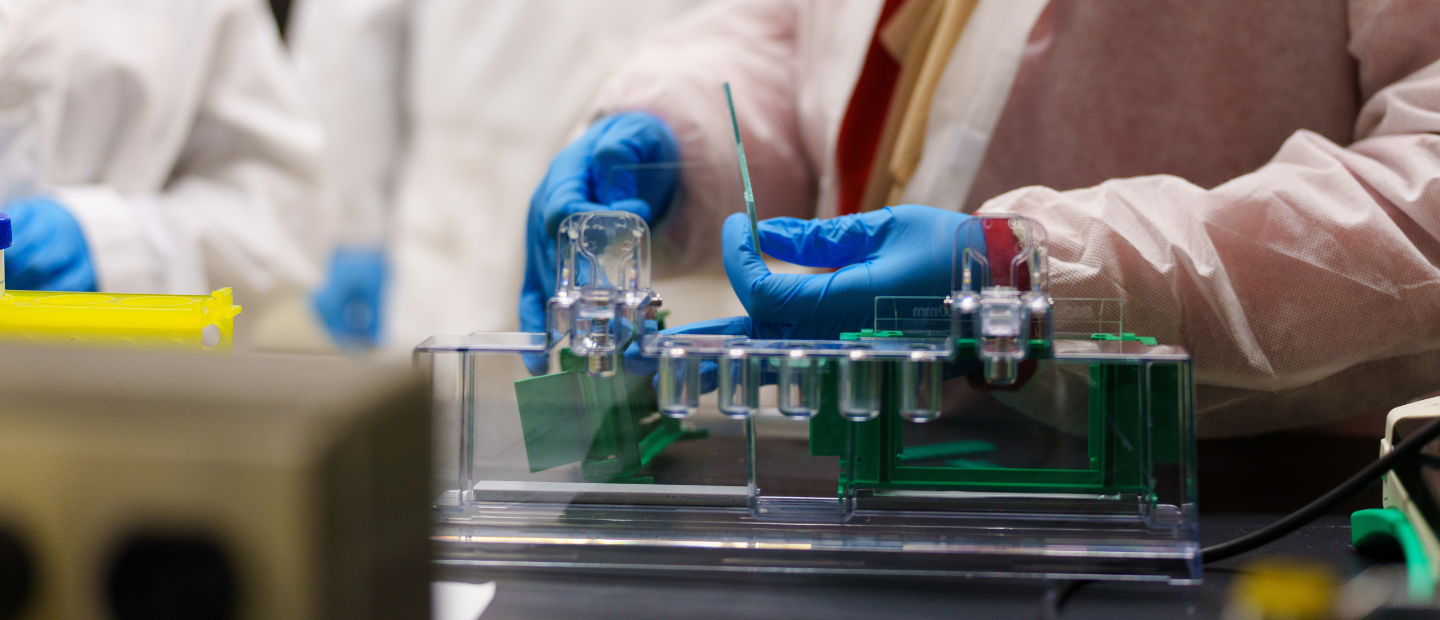 Test tubes in a lab Test tubes in a lab