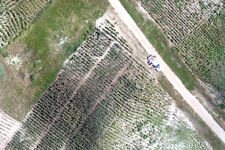Drone Photo of Farm Field