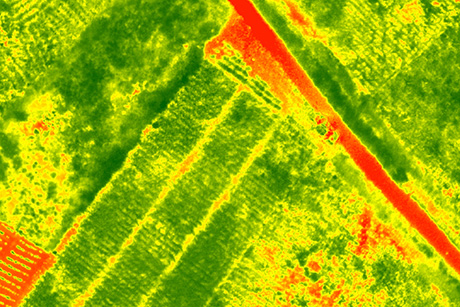 Multispectral Drone Photo of Farm Field