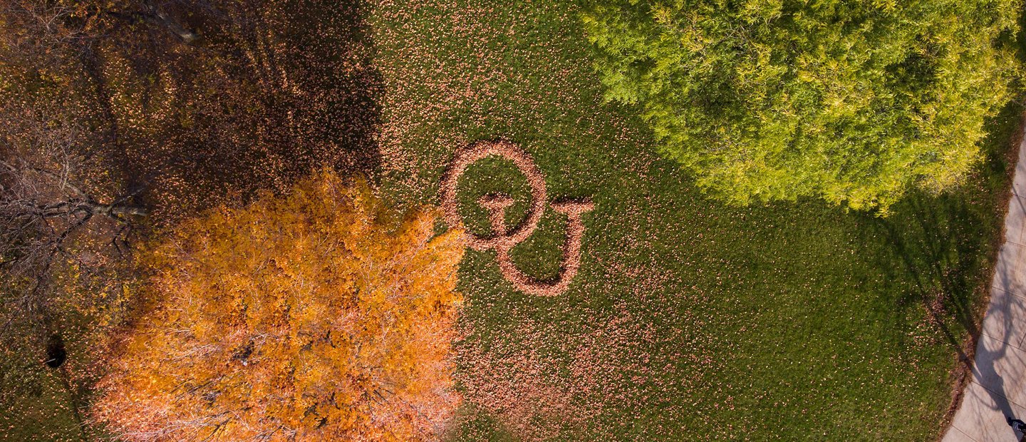 The interlocking O U on the ground in leaves.