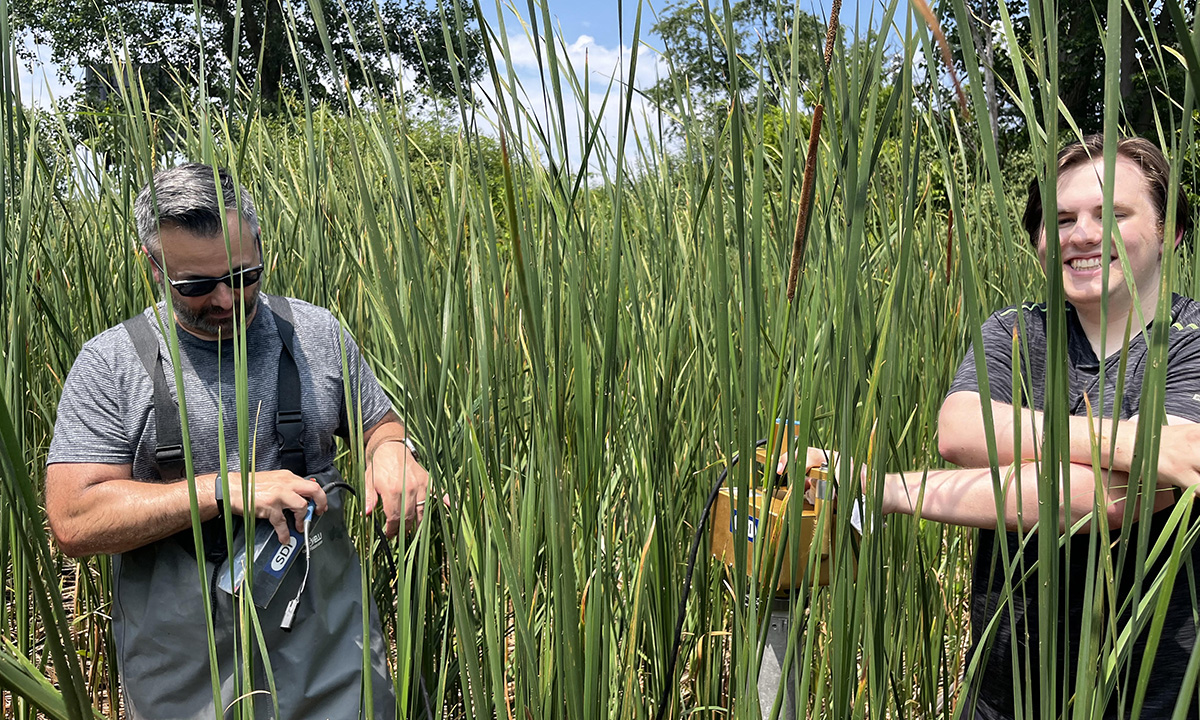 Digging-deep-thumbnail