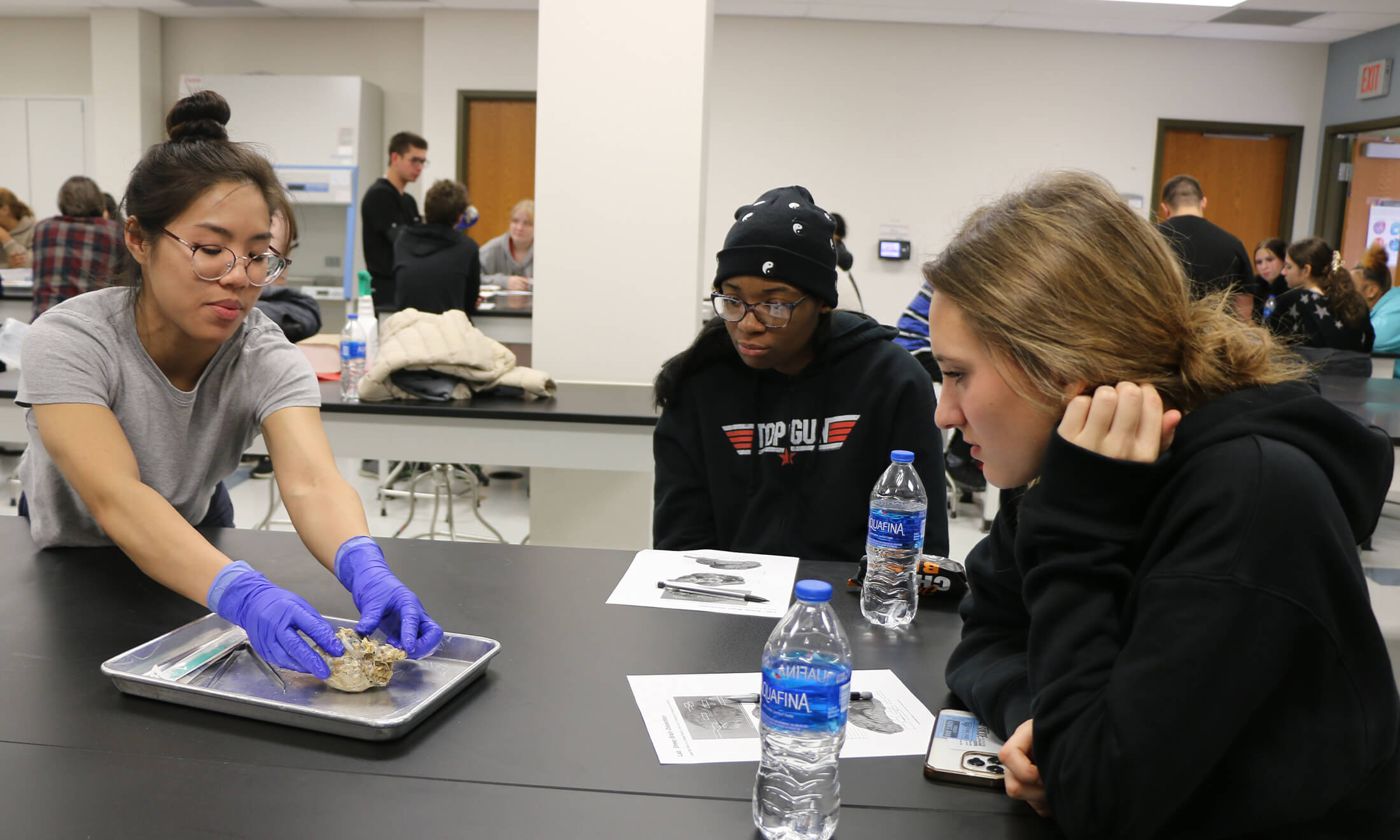 OUWB students showing high schoolers about sheep brains