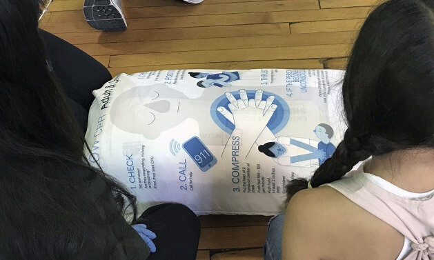 An image of Goldstein's pillow being used in training
