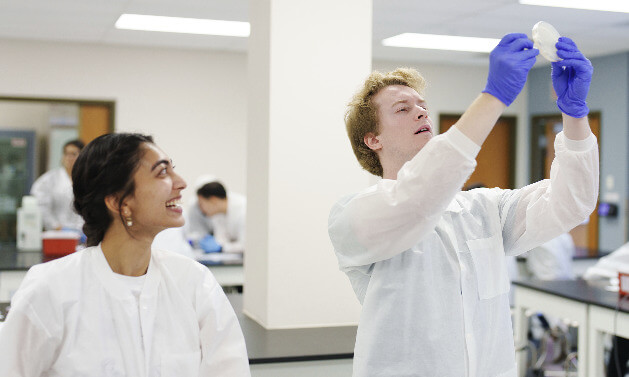 An image from OUWB's microbiology lab