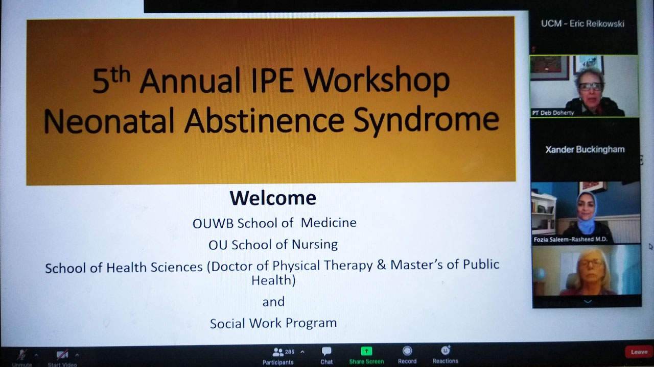 Interprofessional Education Workshop