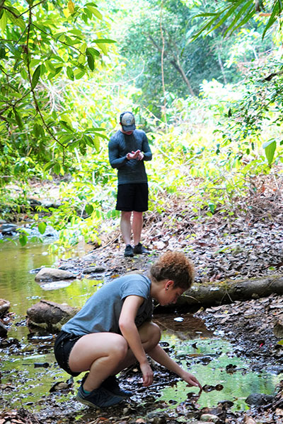 Picking up samples for Invertebrate Sampling