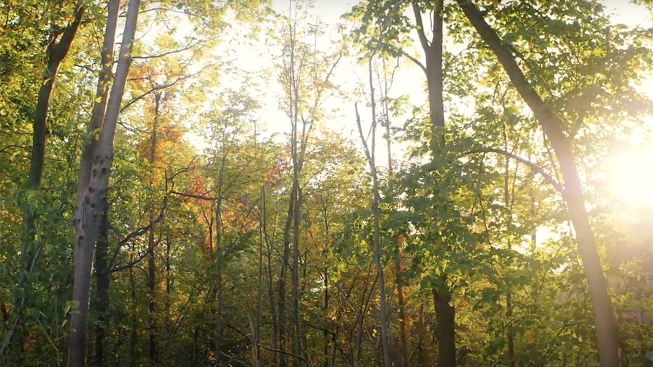 new outdoor classroom