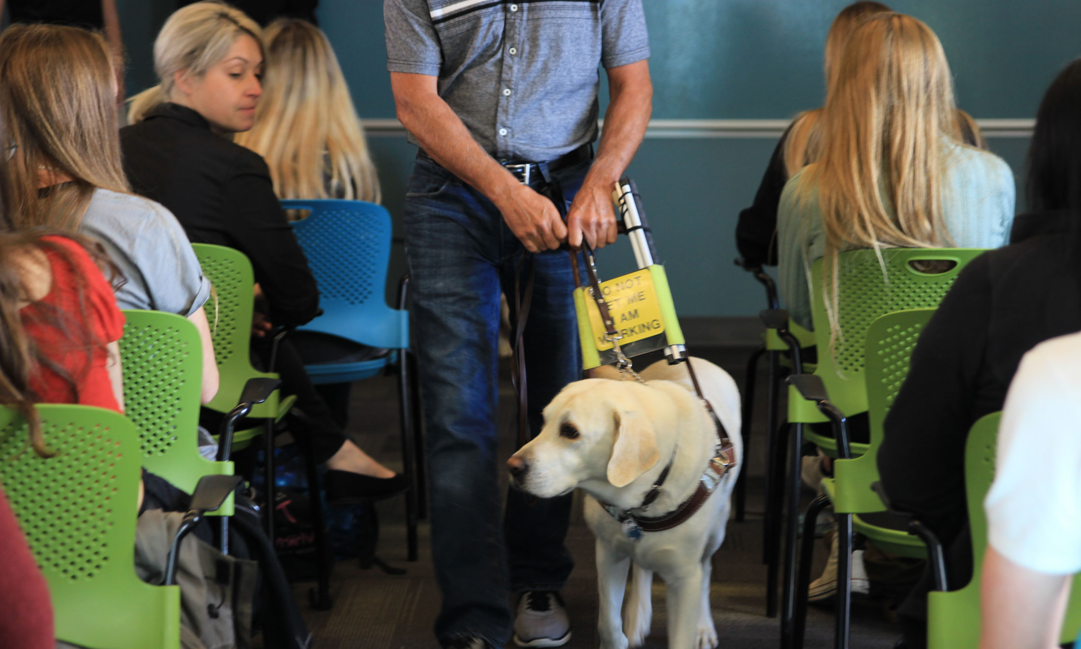 Jeff Hawkins and his leader dog Gracie