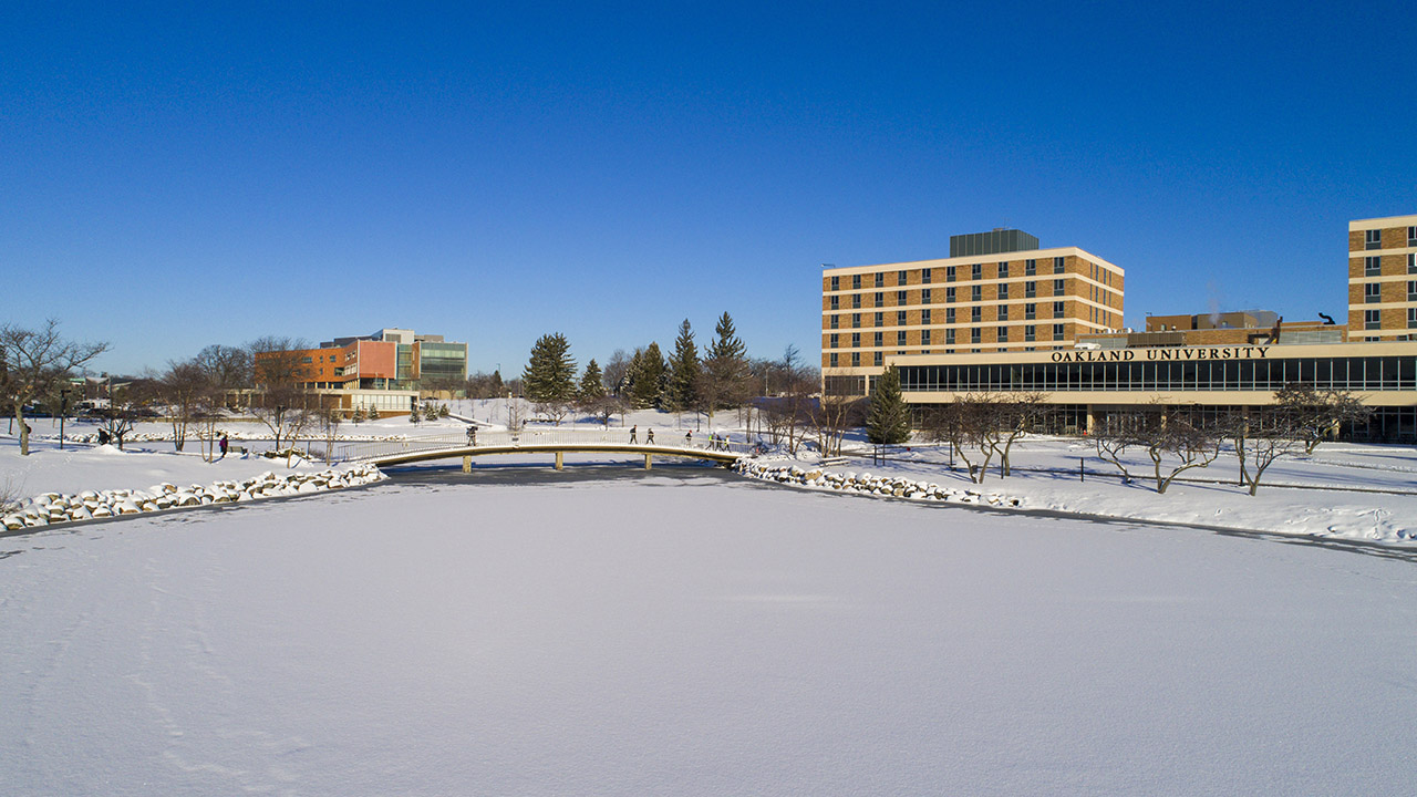 Distinguished Professors 2021