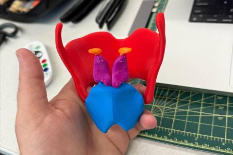 Image of 3D printed larynx