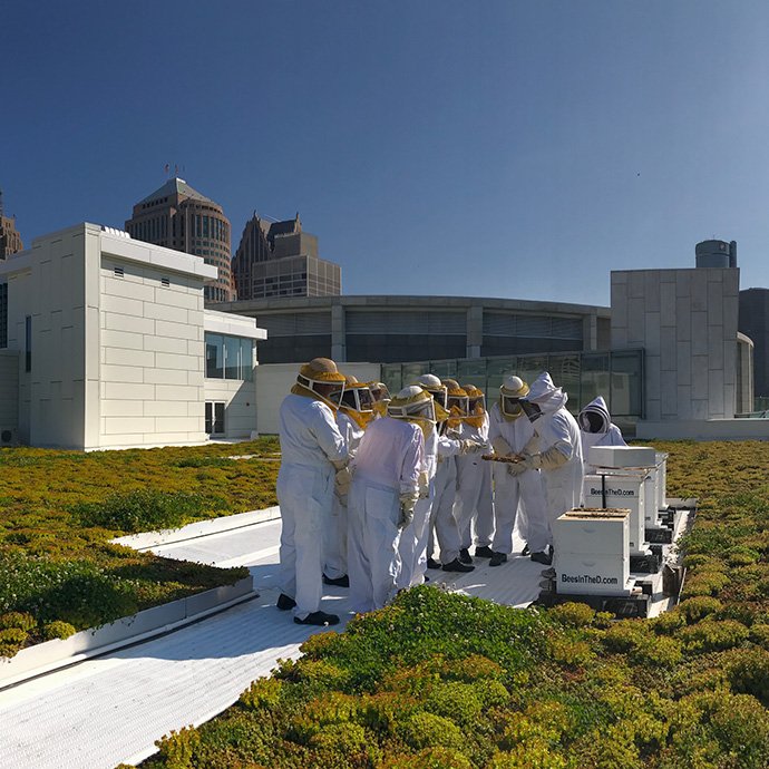 A group of apiarists in full protective gear outside