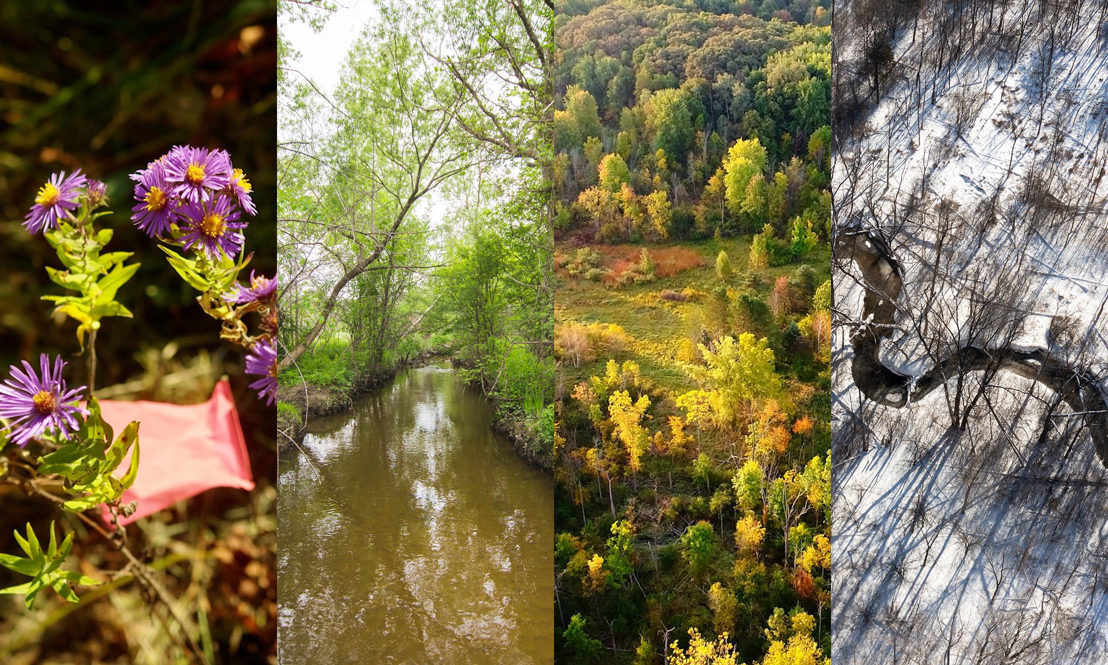 four images of nature and the environment