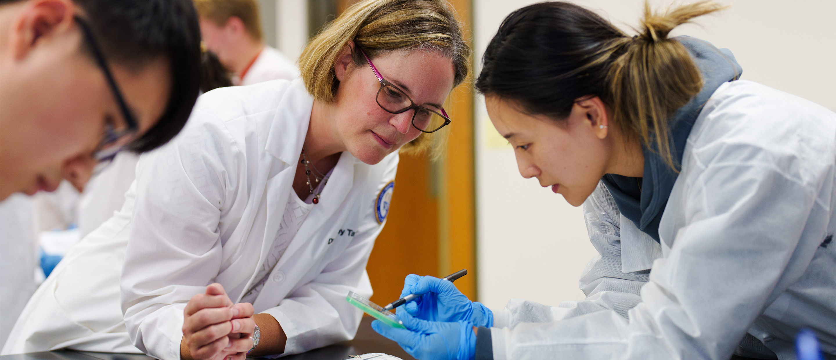 An image from the microbiology lab