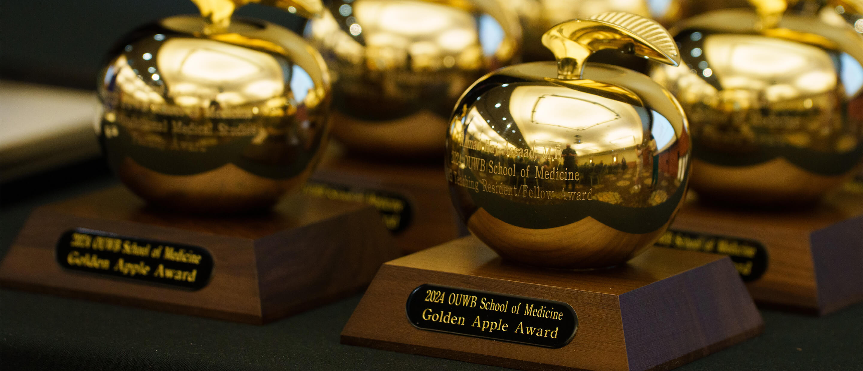 An image of a faculty member handing an award to another faculty member