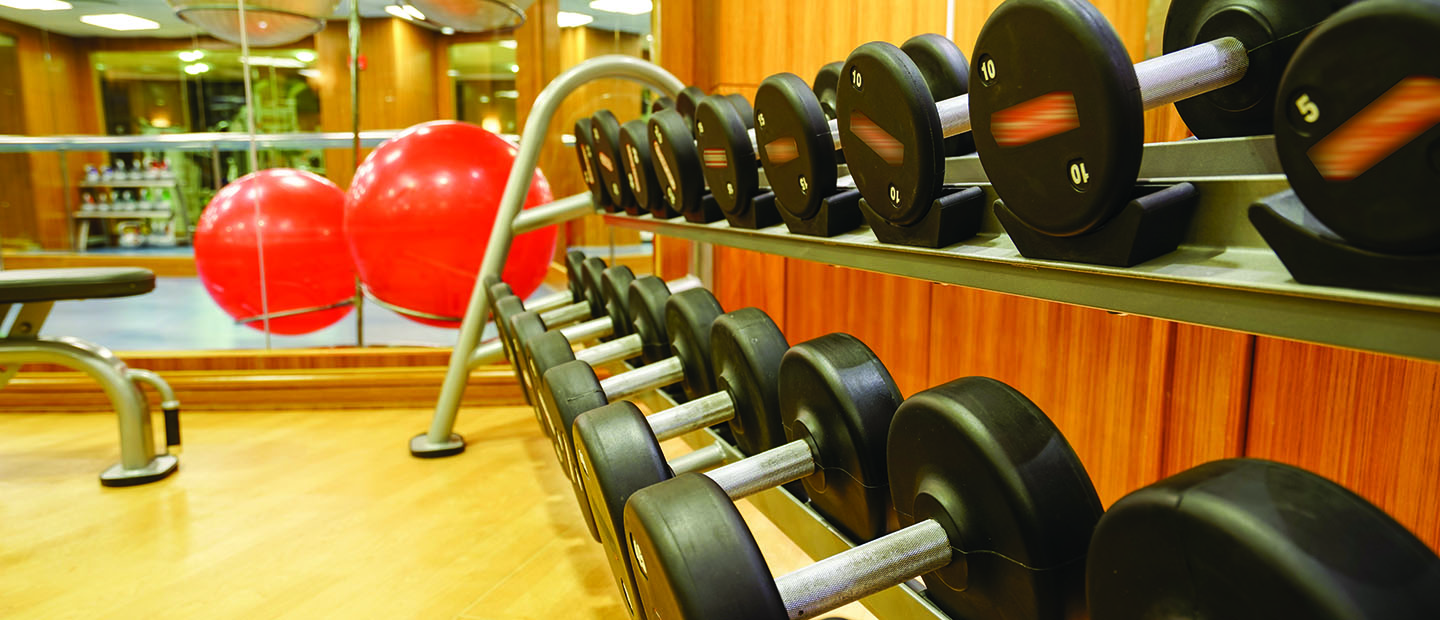 Workout room with wall of weights and exercise ball